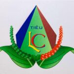 HTX NN Và Dịch Vụ Nam Yang