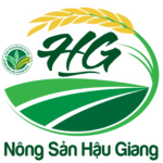 HKD QUÁN TÂN HẬU GIANG