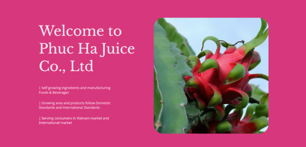 CÔNG TY TNHH NƯỚC ÉP THANH LONG PHÚC HÀ