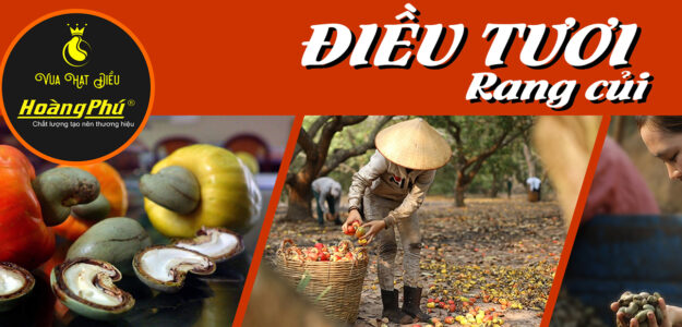 CÔNG TY TNHH MỘT THÀNH VIÊN SẢN XUẤT HOÀNG PHÚ