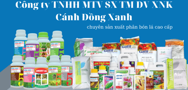 CÔNG TY TNHH MTV XUẤT NHẬP KHẨU CÁNH ĐỒNG XANH