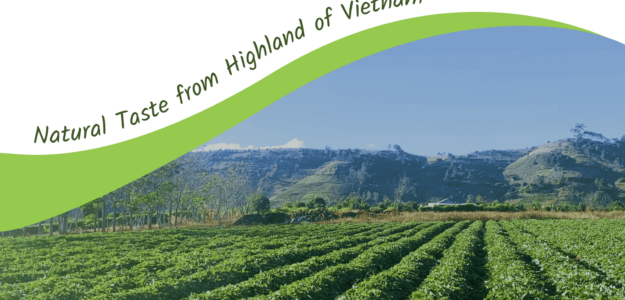 Công ty CP Viên Sơn