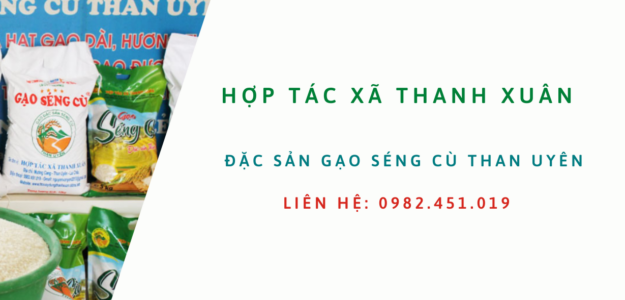 HTX Thanh Xuân
