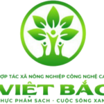 HỢP TÁC XÃ NÔNG NGHIỆP CÔNG NGHIỆP CAO VIỆT BẮC