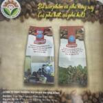 CÔNG TY TNHH THƯƠNG MẠI ĐOÀN GIA ĐẮK NÔNG