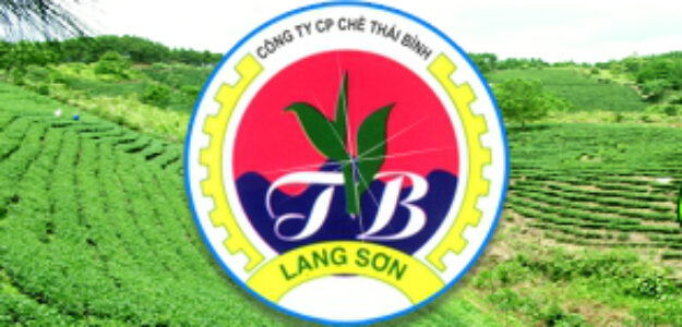 CÔNG TY CỔ PHẦN CHÈ THÁI BÌNH LẠNG SƠN