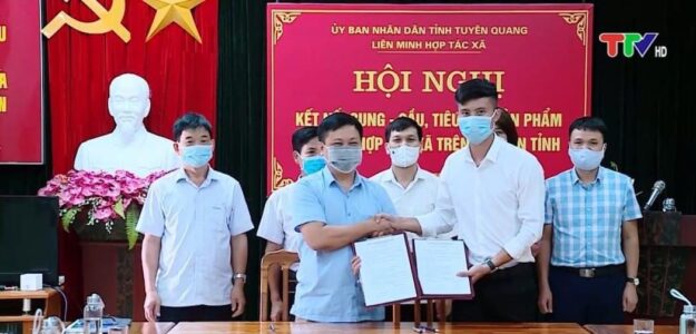 Hợp tác xã dịch vụ sản xuất chế biến nông lâm nghiệp Hợp Hòa